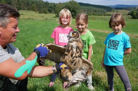 kam za zvířátky středočeský kraj|ZOO, zooparky, jízda na koních